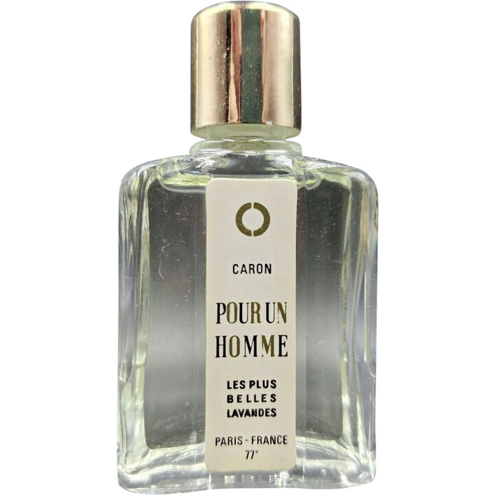 Les Plus Belles Lavandes